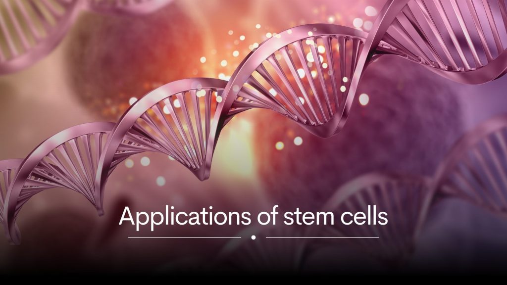 Applications of stem cells