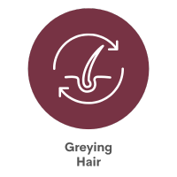 Greying Hair