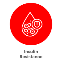 Insulin Resistance