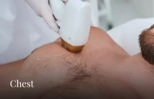 chest
