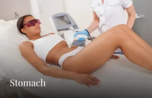 stomach